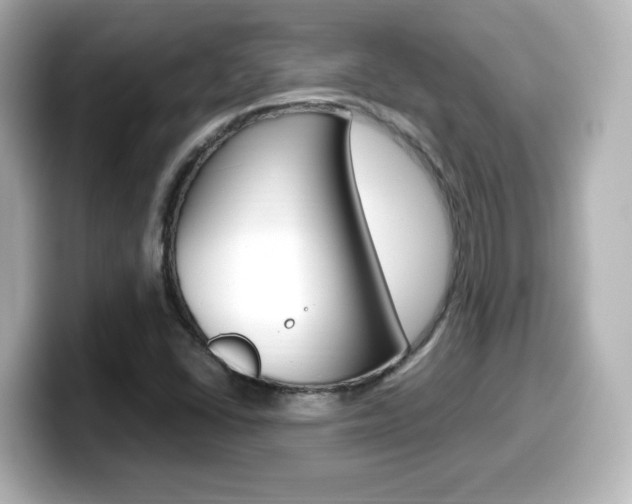 X0000099401406200805081232