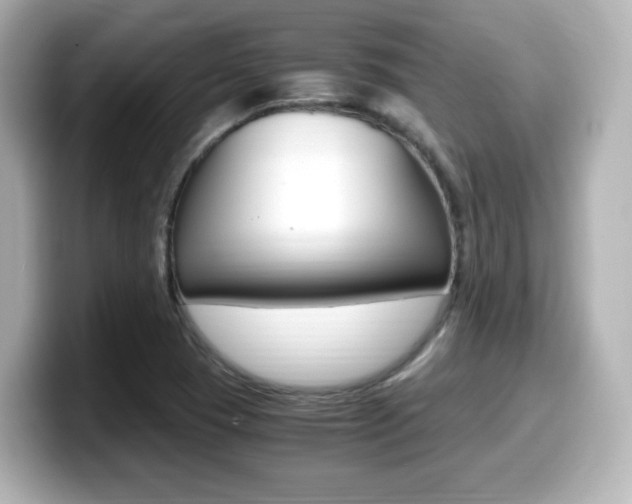 X0000099401409200805081232