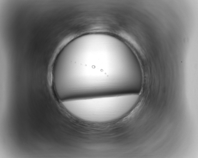 X0000099401413200805081232