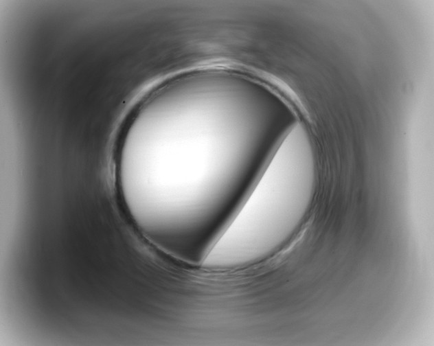 X0000099401414200805081232