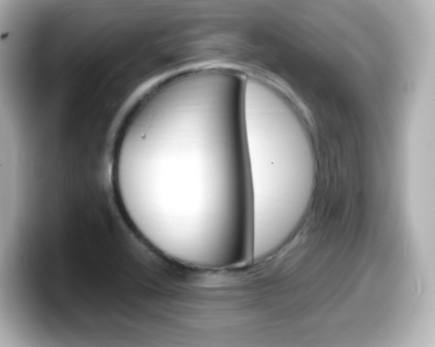 X0000099401416200805081232