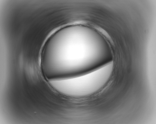 X0000099401420200805081232