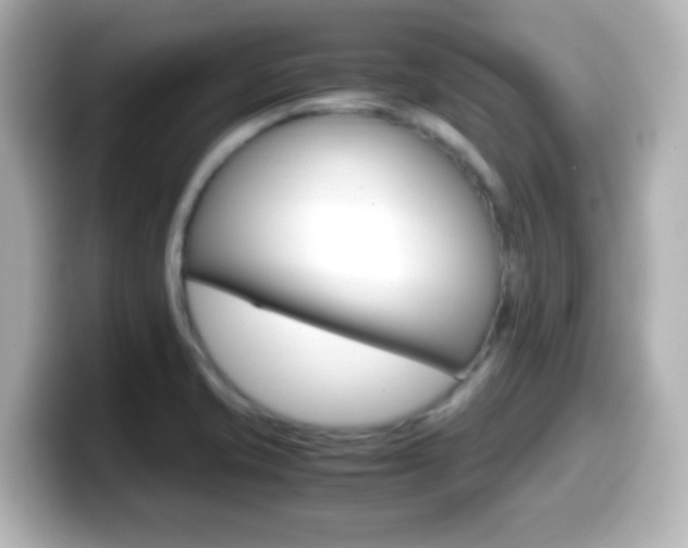 X0000099401421200805081232