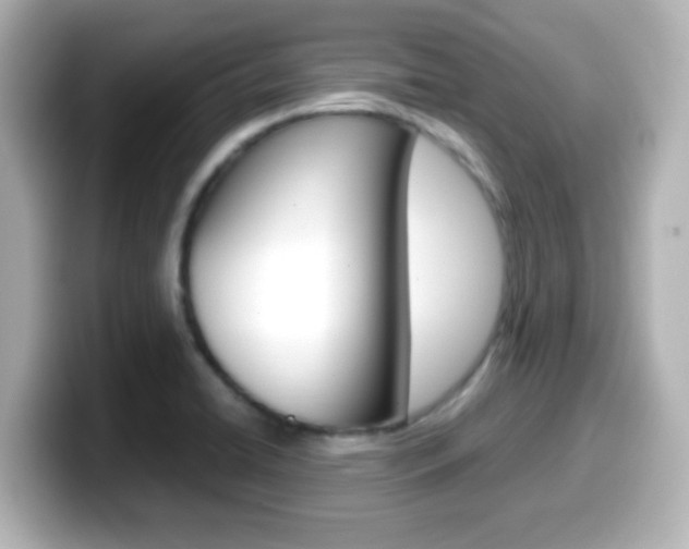 X0000099401422200805081232