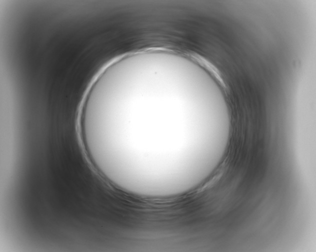 X0000099401423200805081232