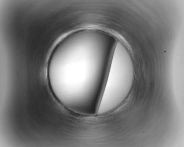 X0000099401424200805081232