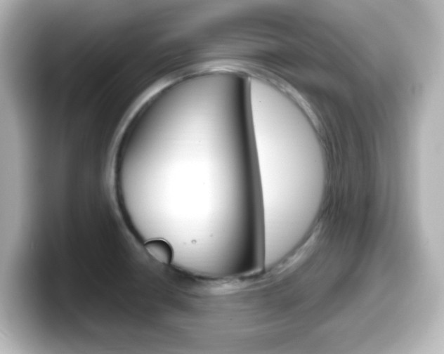 X0000099401426200805081232