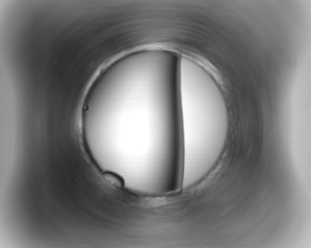 X0000099401428200805081232