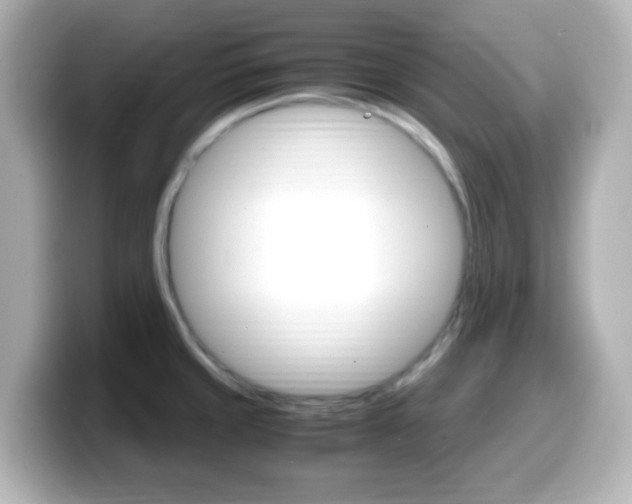 X0000099401429200805081232
