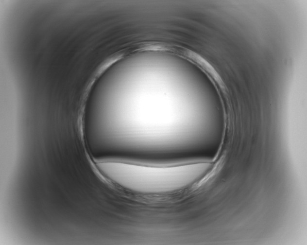 X0000099401433200805081232