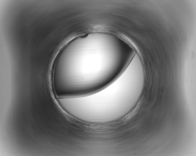 X0000099401434200805081232