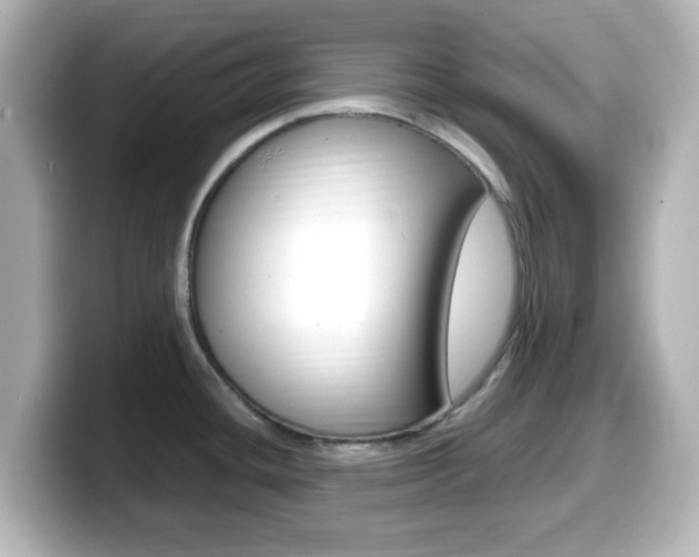 X0000099401436200805081232