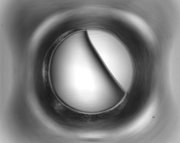 X0000099401438200805081232