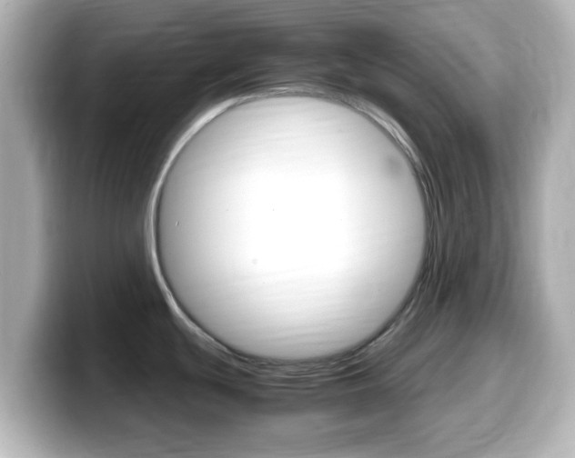 X0000099401439200805081232