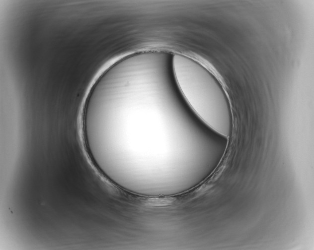X0000099401440200805081232