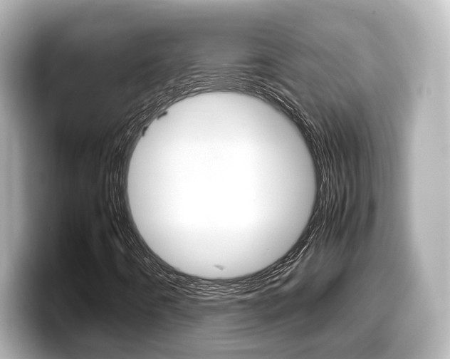 X0000099401442200805081232