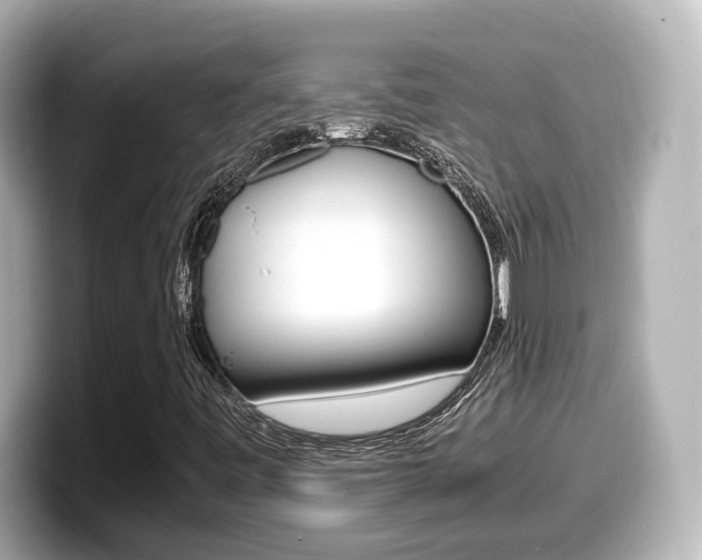 X0000099401443200805081232