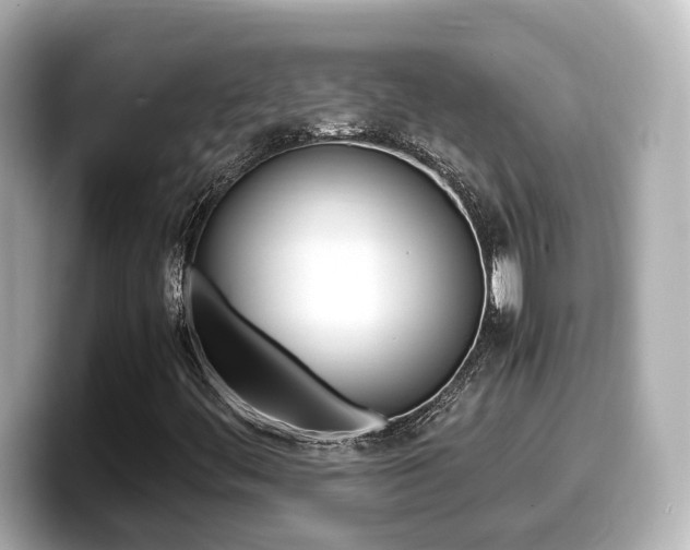 X0000099401444200805081232