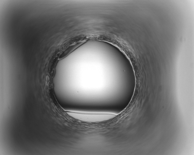 X0000099401445200805081231