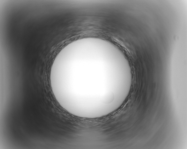 X0000099401446200805081231
