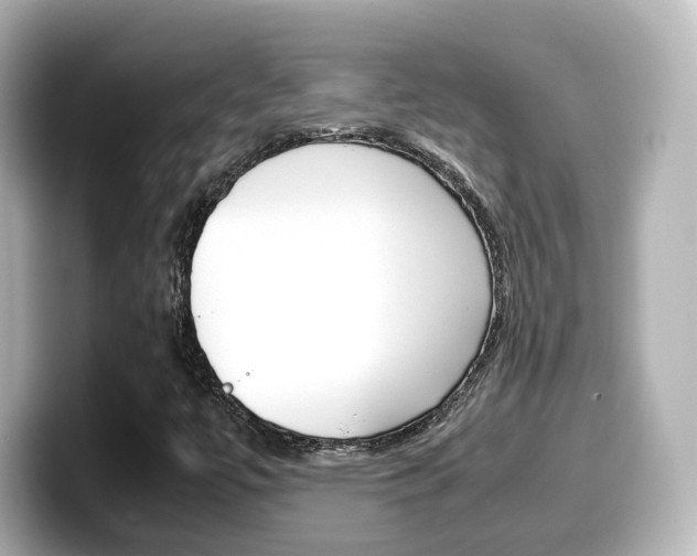 X0000099401447200805081231