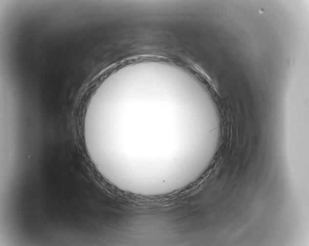X0000099401448200805081231