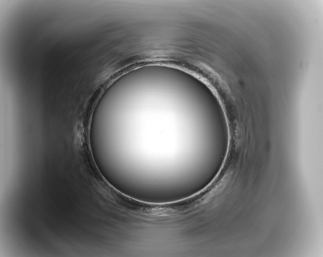 X0000099401449200805081231