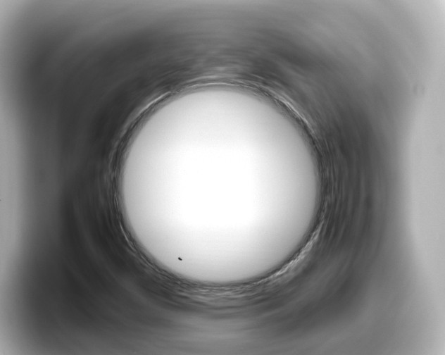 X0000099401450200805081231