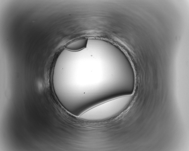 X0000099401451200805081231