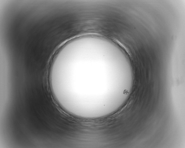 X0000099401452200805081231