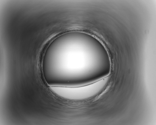 X0000099401453200805081231