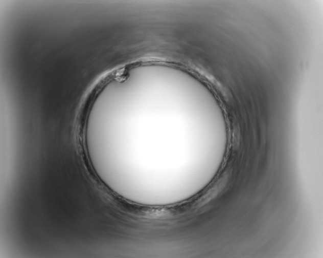 X0000099401454200805081231