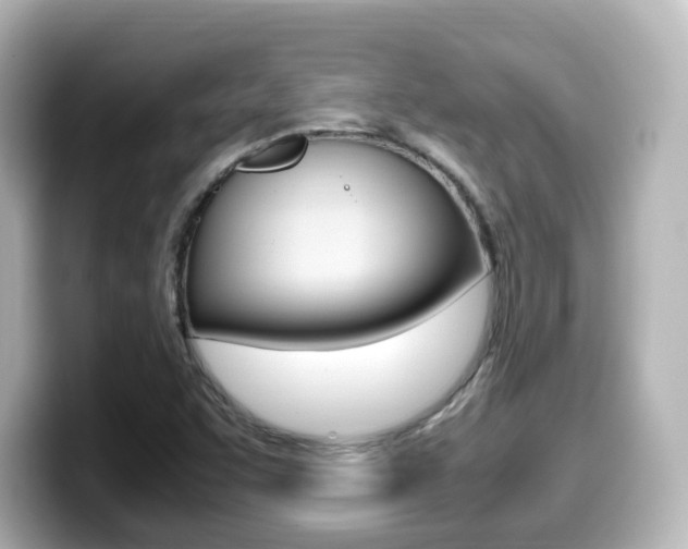 X0000099401455200805081231