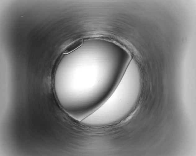X0000099401457200805081231