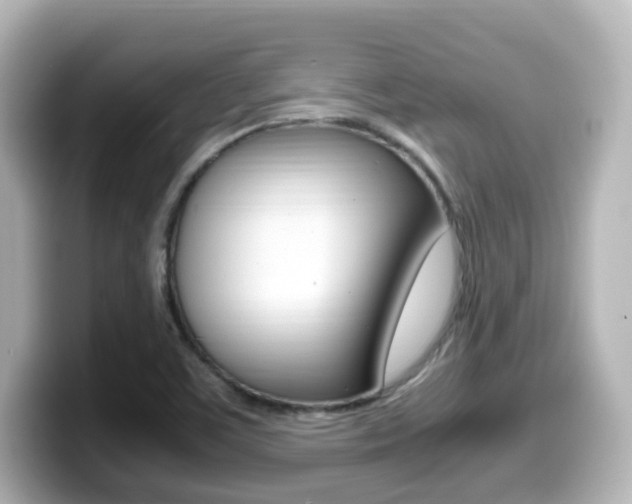 X0000099401459200805081231
