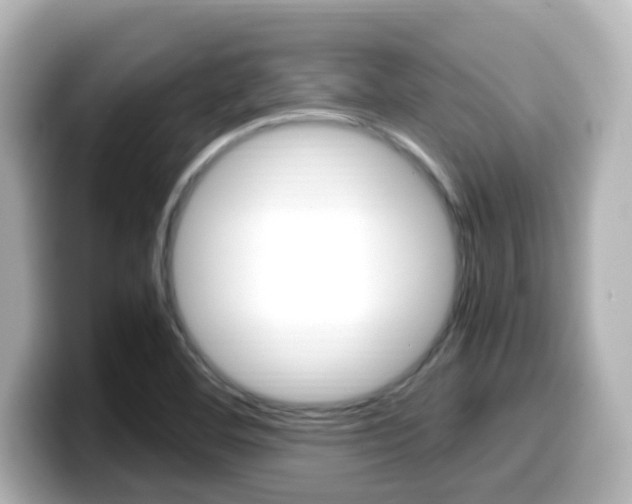 X0000099401460200805081231