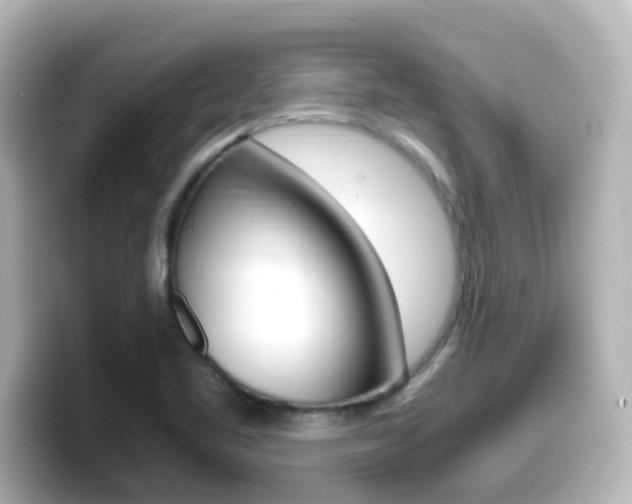 X0000099401461200805081231