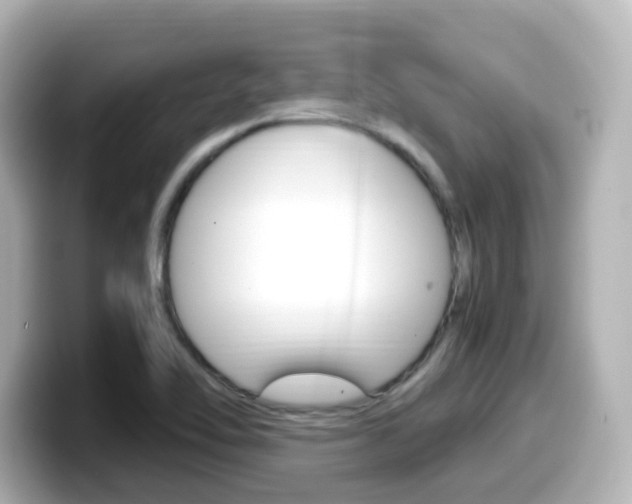 X0000099401462200805081231