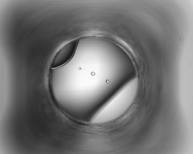 X0000099401463200805081231