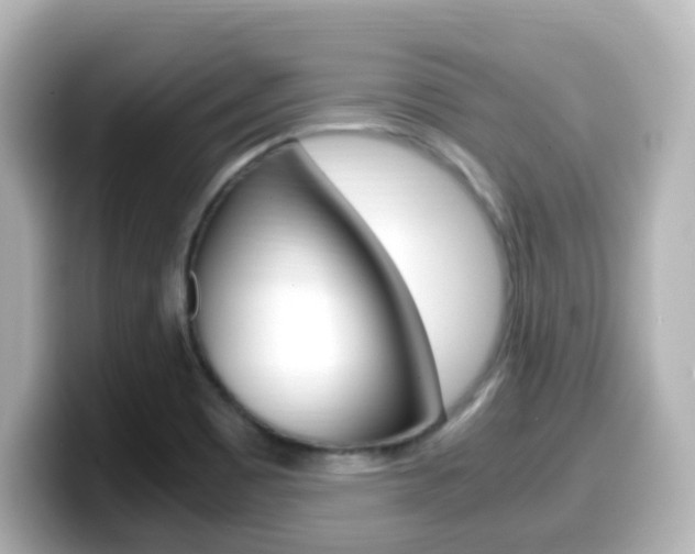X0000099401465200805081231