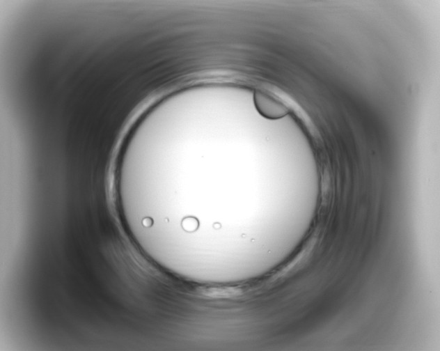 X0000099401466200805081231