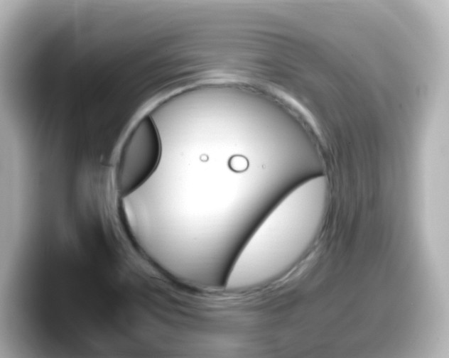 X0000099401467200805081231