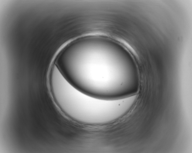 X0000099401468200805081231