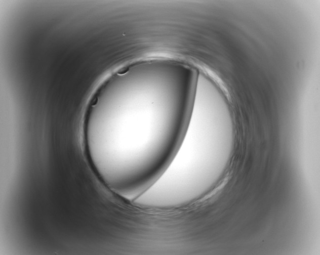 X0000099401469200805081231