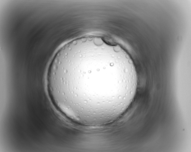 X0000099401471200805081231