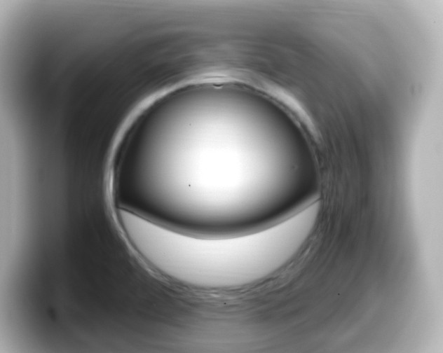 X0000099401472200805081231