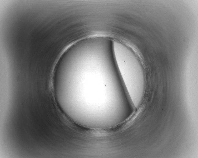X0000099401473200805081231