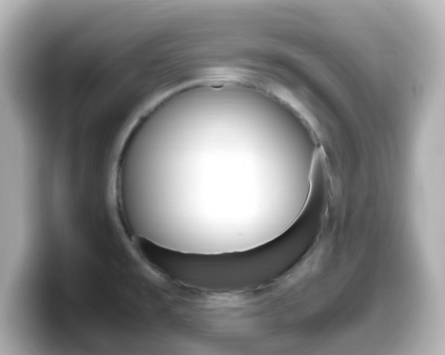 X0000099401477200805081231
