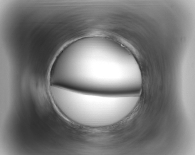X0000099401479200805081231