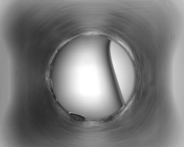 X0000099401481200805081231